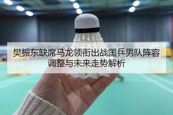 樊振东缺席马龙领衔出战国乒男队阵容调整与未来走势解析